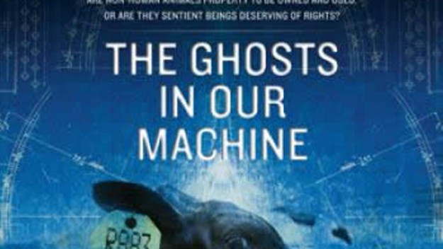 The Ghosts in our Machine cover