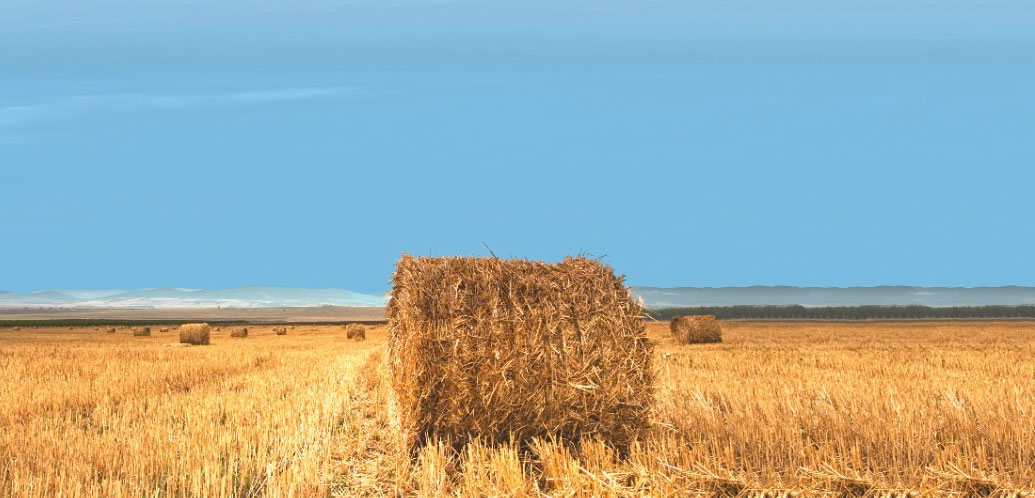 A rolled-up bale of hay sitting on a prairie