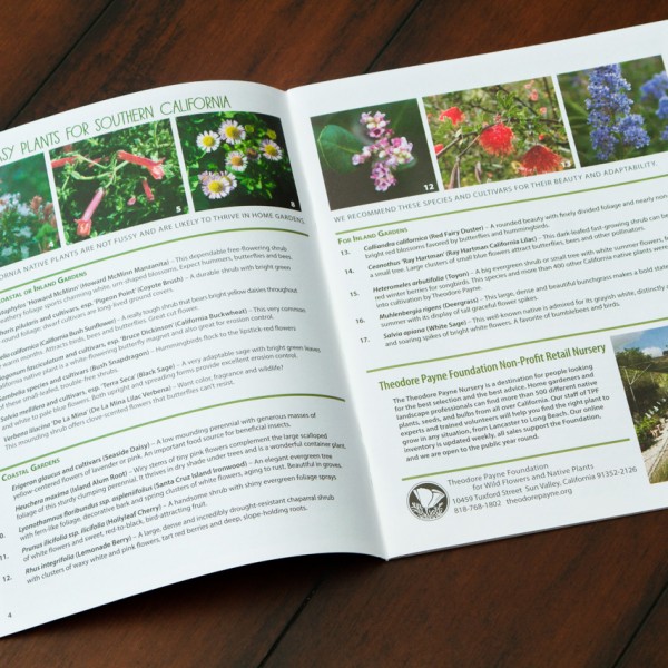 Pamphlet printed by California Green Press